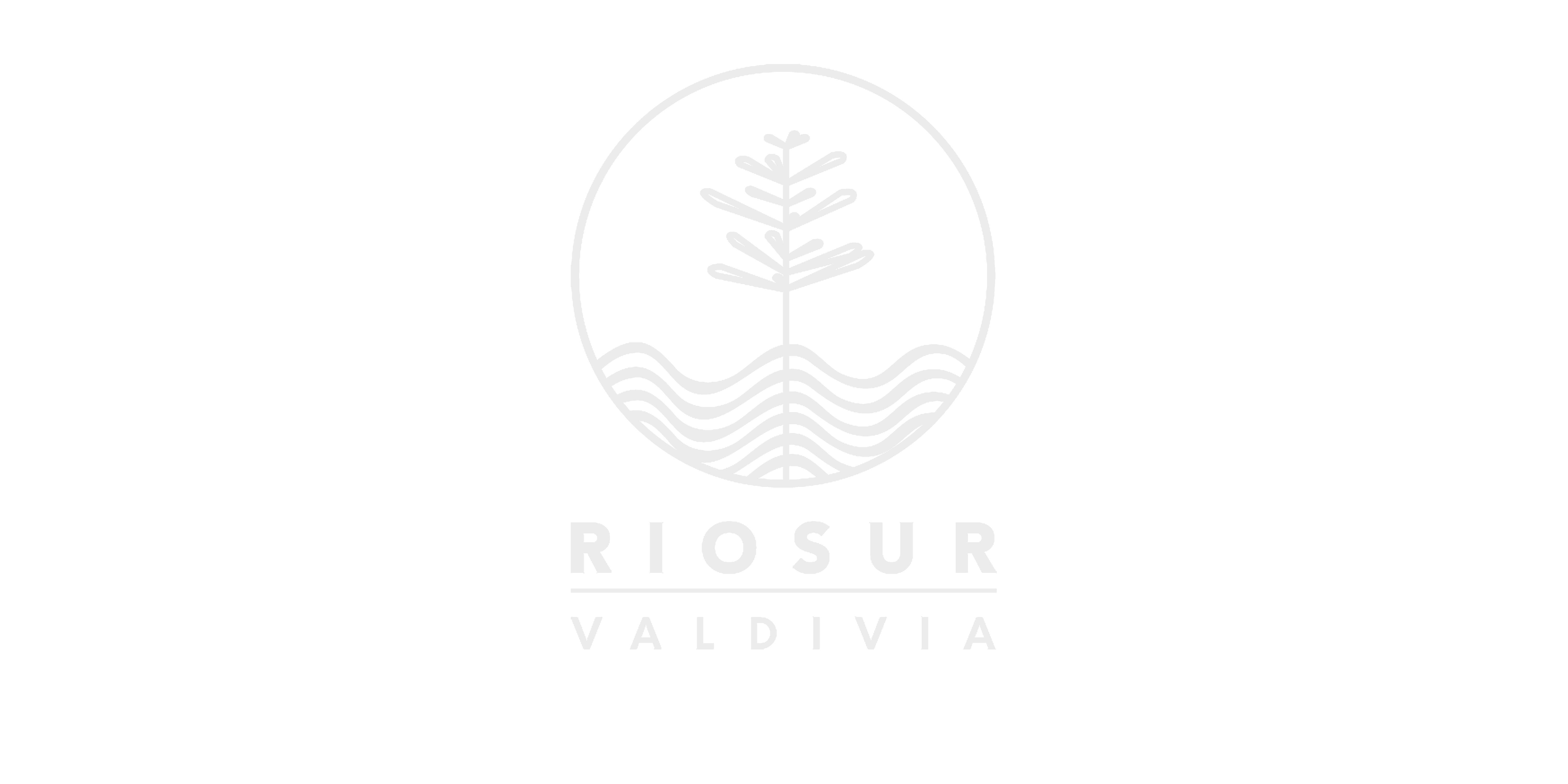 Río Sur Valvidia