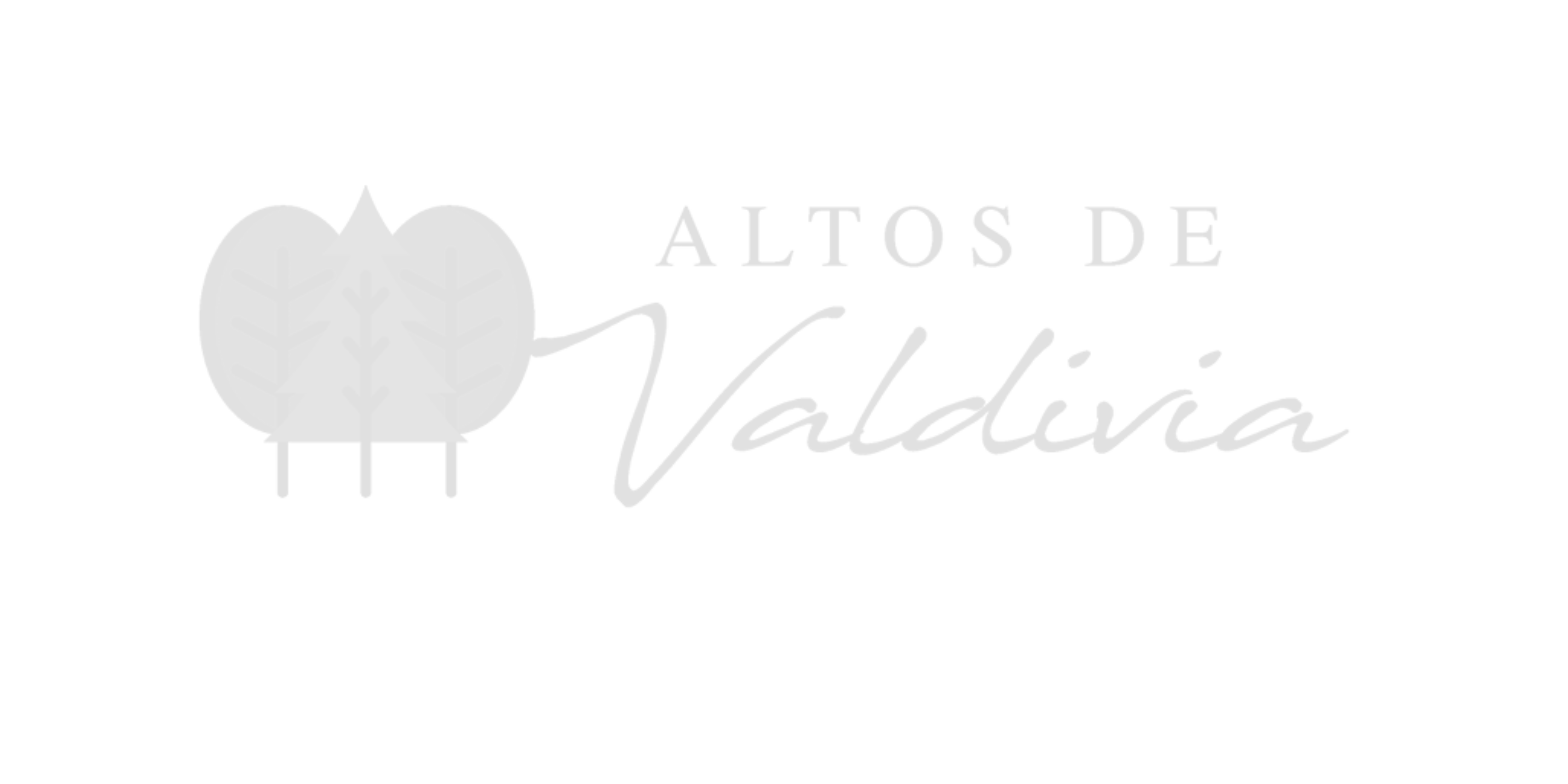 Alto de Valdivia