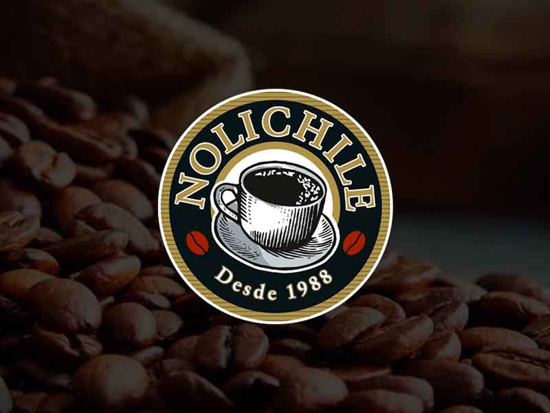 Desarrollo web Nolichile