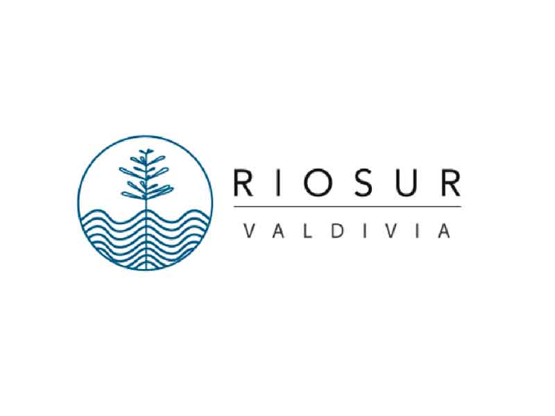 Desarrollo web Rio Sur