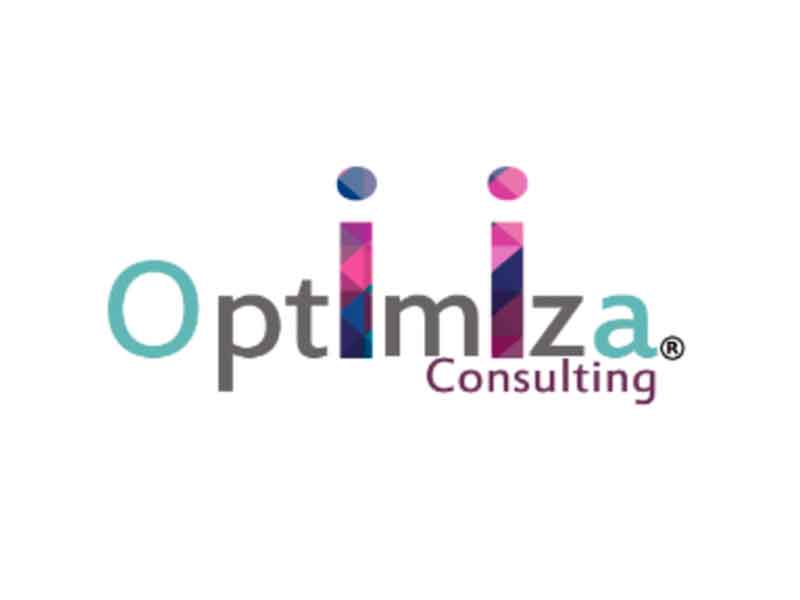 Desarrollo web Optimiza consulting