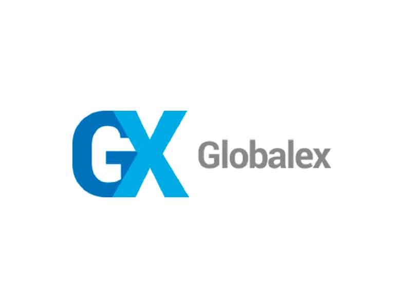 Desarrollo web GX Globalex